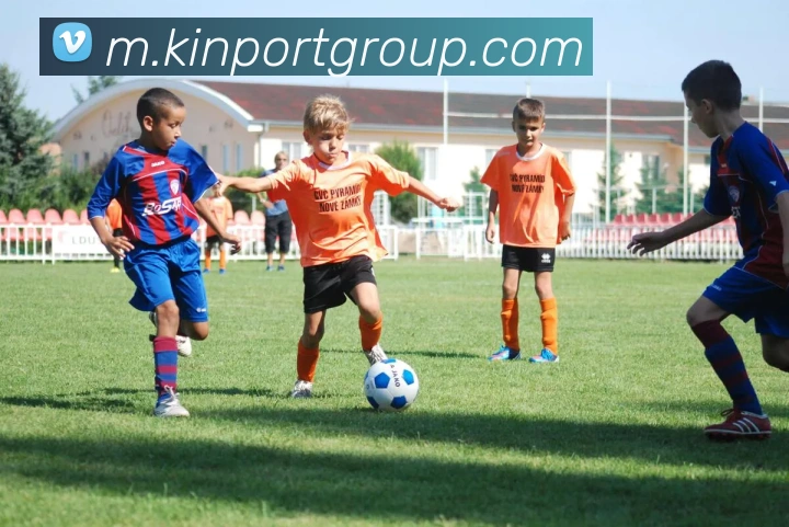 MK体育平台生态图